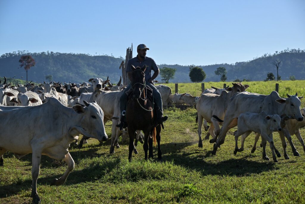 Acordo UE-Mercosul: O que as novas salvaguardas significam para o agro brasileiro?