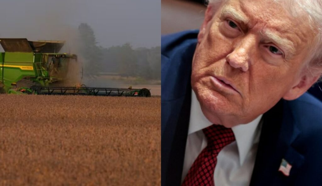 Ajuda de US$ 11 bi de Trump: ponte temporária ou solução real para os agricultores americanos?
