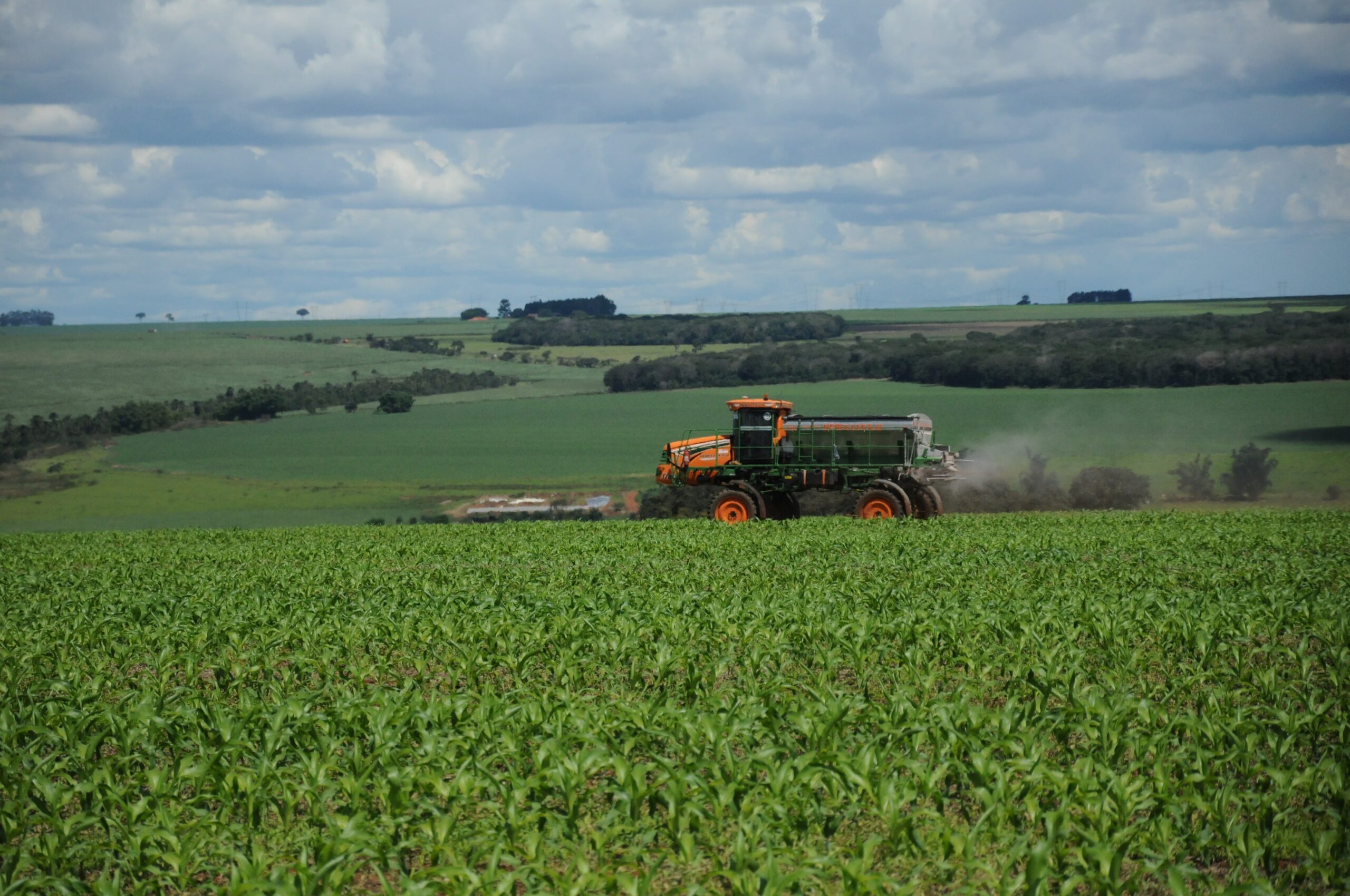 Brasil bate recorde de soja e amendoim para a China: o que isso significa para o nosso bolso e o agro nacional