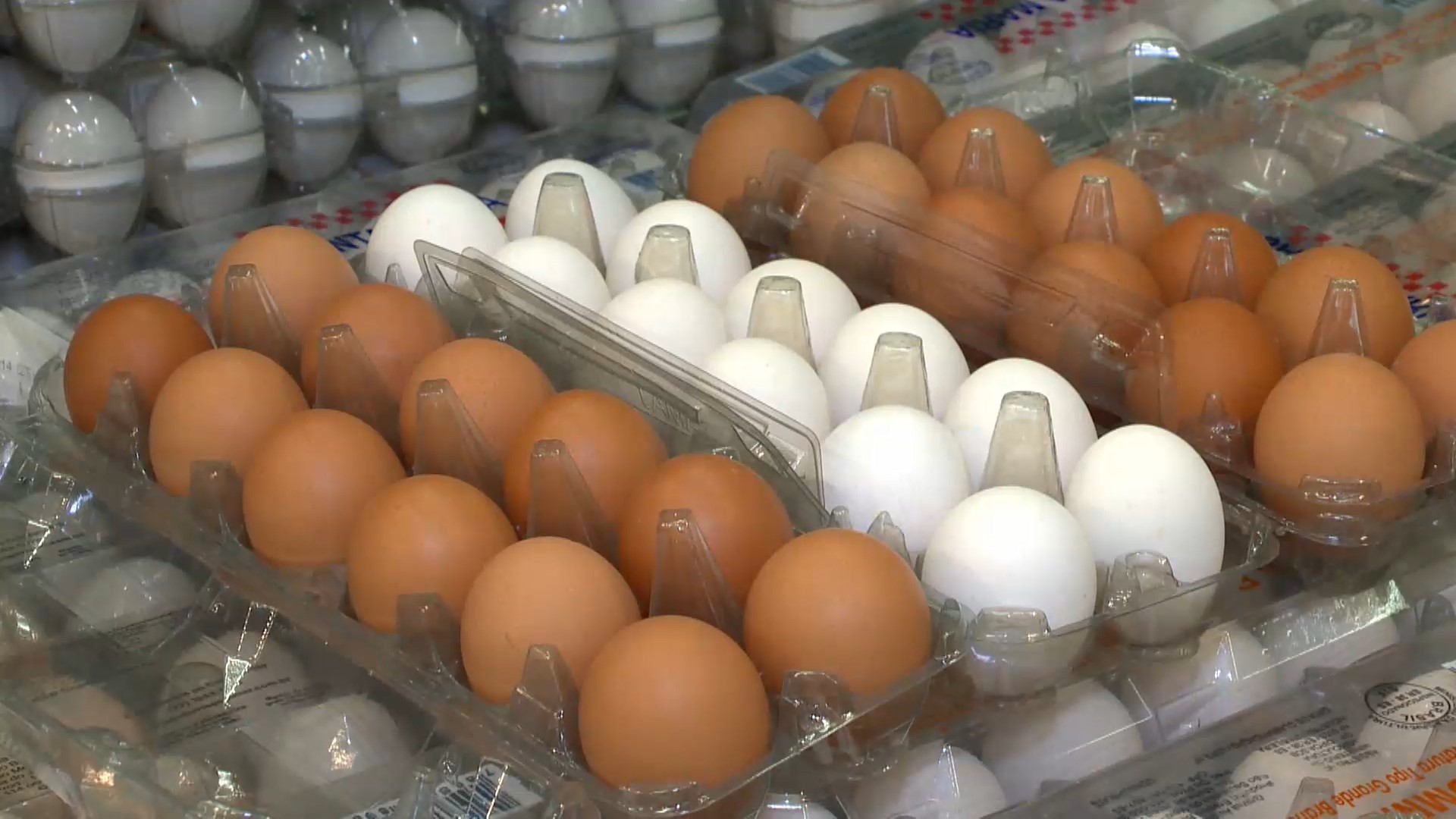 Tarifaço de Trump e a saga dos ovos brasileiros: o que realmente acontece no prato dos EUA?