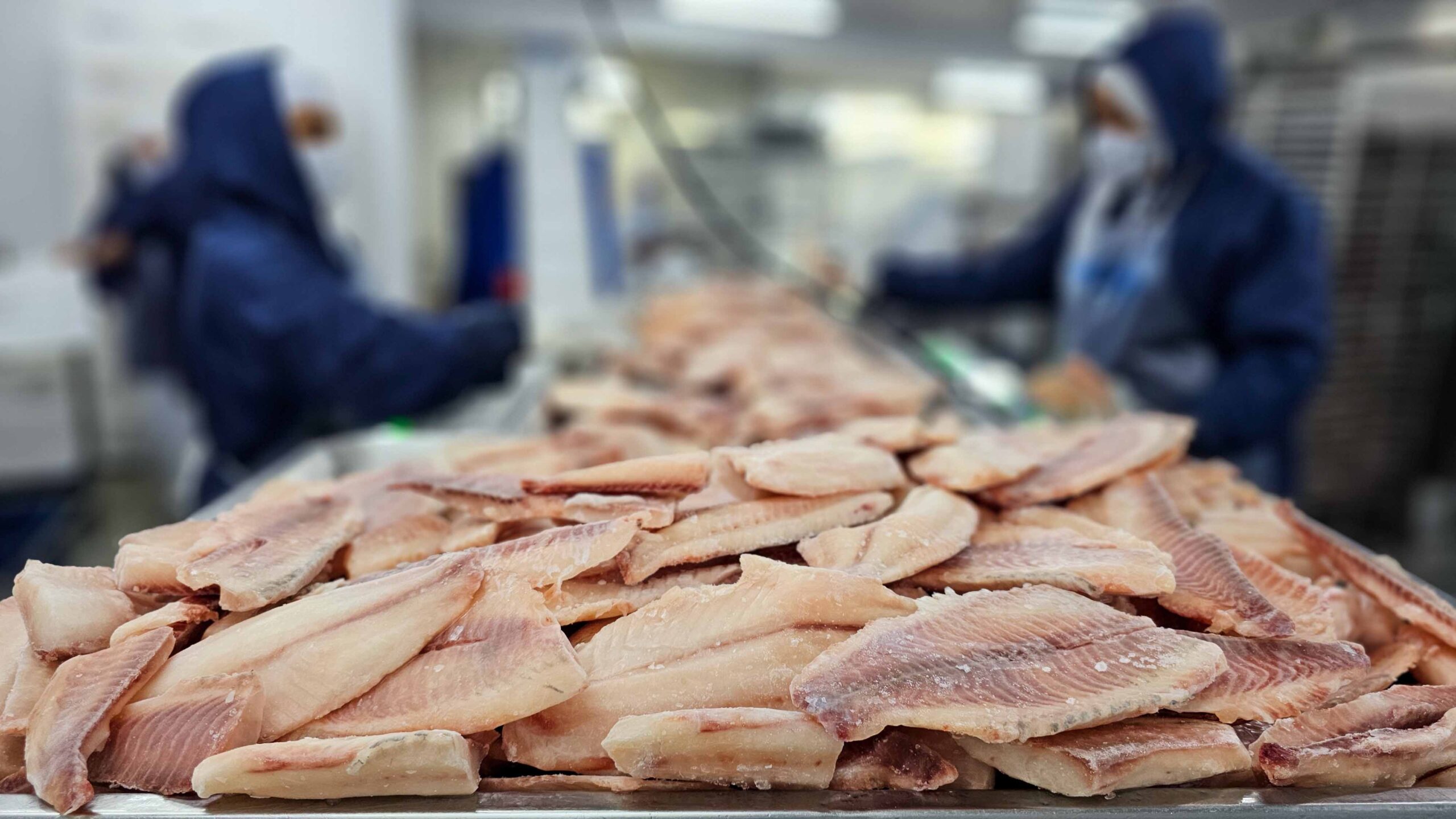 Tarifaço nos EUA: Como a metade das exportações do agro brasileiro está em risco