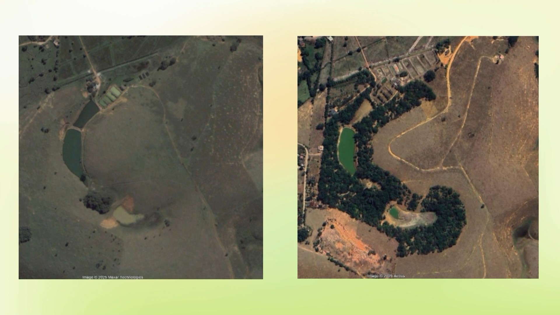 Espírito Santo lidera o Brasil no reflorestamento: o que isso significa para você e para o planeta