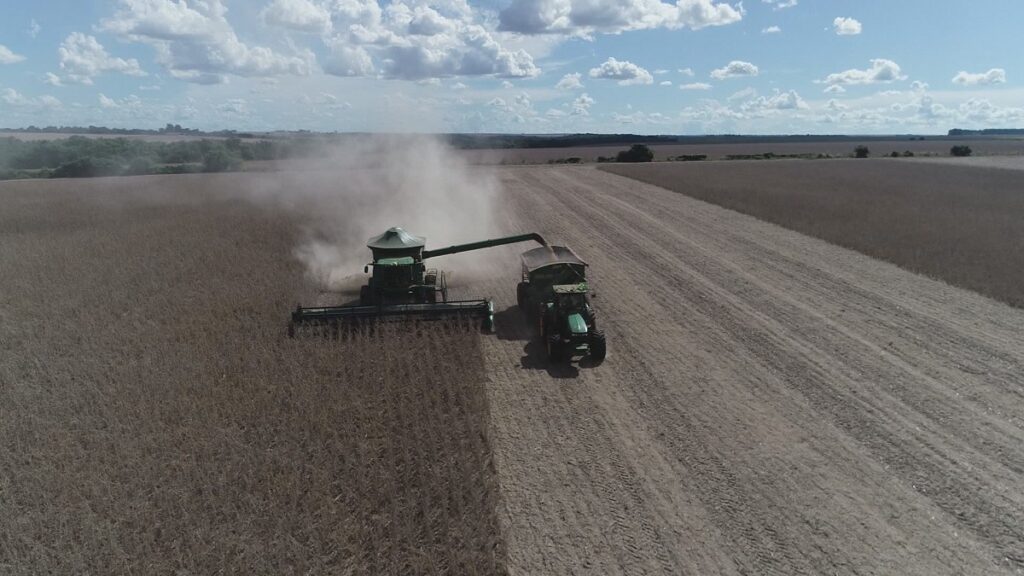 Exportadoras de soja abandonam a Moratória: o que isso significa para a Amazônia e o seu prato