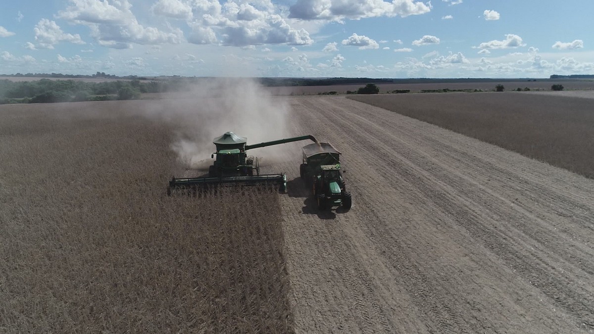 Exportadoras de soja abandonam a Moratória: o que isso significa para a Amazônia e o seu prato