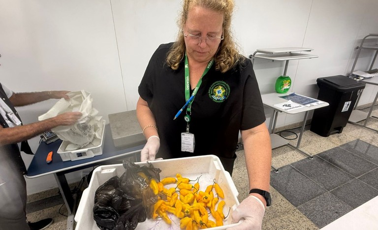 O que você pode (e não pode) trazer de comida do exterior sem dor de cabeça