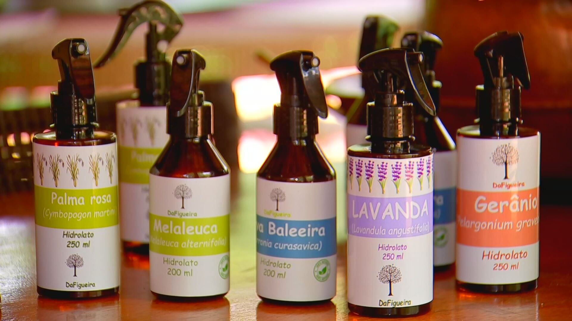 Do campo à sua casa: como os óleos essenciais das plantas aromáticas chegam até nós
