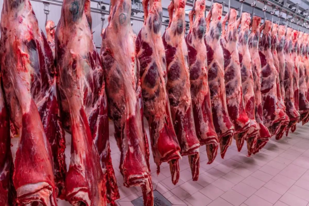 Por que o aumento das importações de carne argentina nos EUA pode mudar a sua mesa